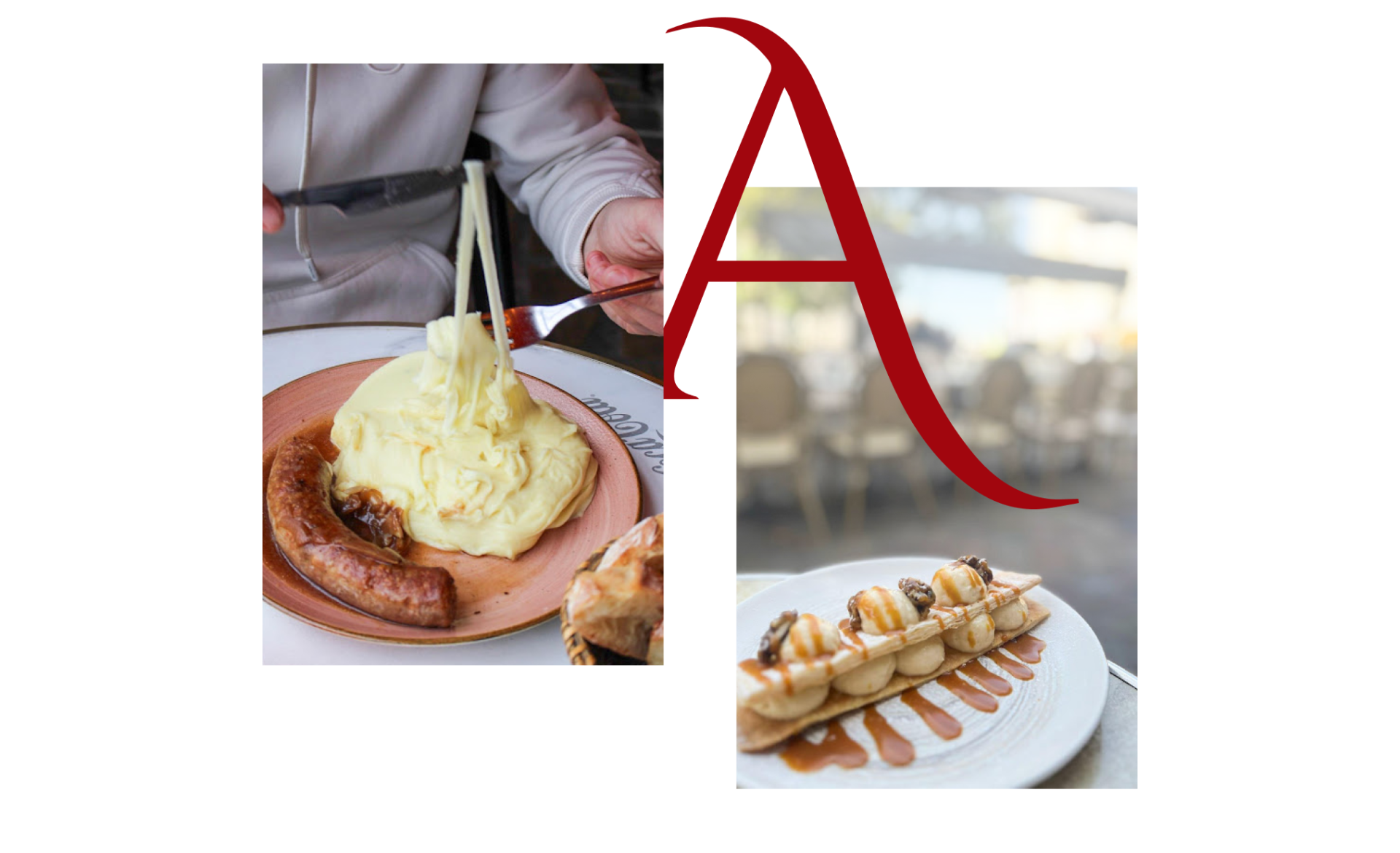 Le restaurant - L'Amnésia - Restaurant Saint-Germain-en-laye - meilleur resto SAINT-GERMAIN-EN-LAYE